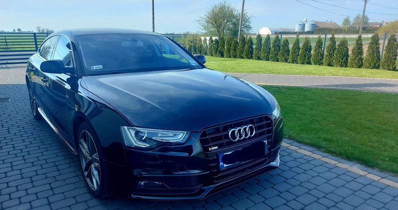 Audi A5 cena 59500 przebieg: 215000, rok produkcji 2015 z Toruń małe 67